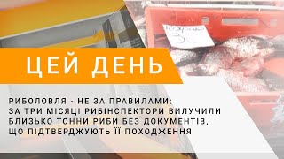 За три місяці рибінспектори вилучили близько тонни риби без документів, що підтверджують походження