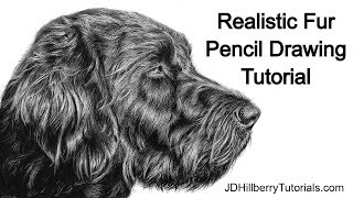 How to Draw Realistic Fur with Pencil - Tutorial