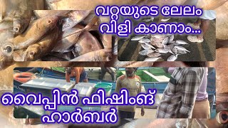 വറ്റ മീൻ ലേലം വിളിക്കുന്നത് കാണാം... #fish #harbour #fishing #meenkari