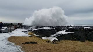 Brimketill Lava Rock Pool Iceland. Giant waves.  Lava coastline.