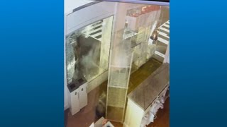 Keg thrown through Georgetown Cupcake's window, owners shocked