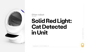 Solid Red Light: Cat Detected in Unit | Litter-Robot 4