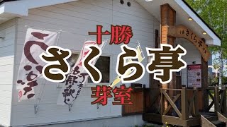 【十勝帯広グルメ】俺の昼飯「さくら亭」芽室町へ刺身・天ぷら・茶碗蒸しを食いに😎オッサン大好き御三家や