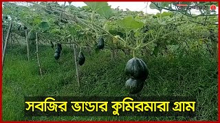 সবজির ভান্ডার পটুয়াখালীর কলাপাড়া উপজেলার কুমিরমারা গ্রাম | Janakantha