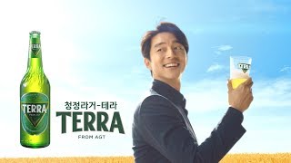 청정라거-테라 TERRA CF (6\