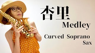 【杏里メドレー】オリビアを聴きながら～CAT'S EYE～SUMMER CANDLES(Curved Soprano Sax Cover)