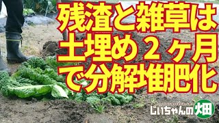 雑草と残渣の堆肥化。雑草だらけの土地でも刈り込んでそこに埋めて堆肥にする。2ヶ月で分解されてきれいな土になる。1/15