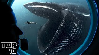 Top 10 Dark Discoveries Made By Submarines - Part 3