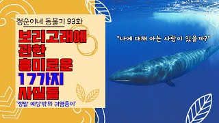 점순이네 동물기 93화 : 보리고래에 관한 흥미로운 17가지 사실들