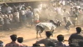 Old Jallikattu video விளாகம் 2006