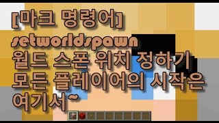 [마인크래프트 1.11] 명령어 setworldspawn - 월드 스폰 위치 정하기, 모든 플레이어의 시작은 여기로~