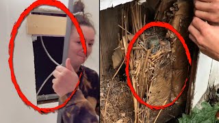 Incredible Things People Found Hidden in Their Homes