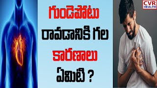 గుండెపోటు రావడానికి గల కారణాలు ఏమిటి ? | What are the possible causes of heart attack? | CVR News