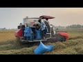 Machine Kubota dc-70 Plus Harvesting your farmer |Farmer Life