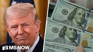 $1.8B fund ‘top of the list of the most corrupt things’ Trump has done: Dem Rep.