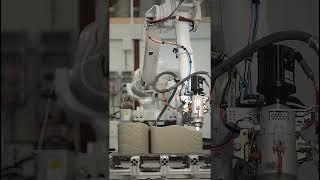 The Future of Construction: 3D Printing Robots in China