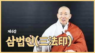 제6강 삼법인