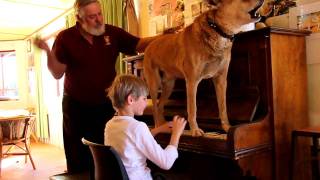 Dinky the Dingo who Plays the Piano and Sings