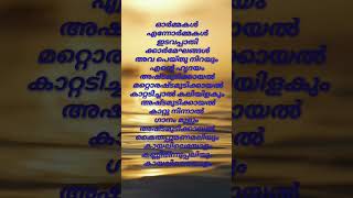 കാറ്റടിച്ചാൽ കലിയിളകും❤️ #oldisgold #kjyesudashits #malayalamsonglyrics #youtubeshorts #nostalgic