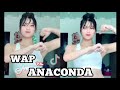 WAP vs. ANACONDA tiktok compilation