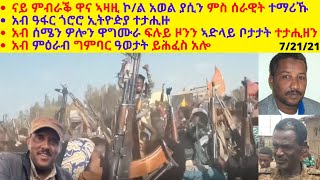 ናይ ምብራቕ ዋና ኣዛዚ ኮ/ል አወል ያሲን ምስ ሰራዊት ተማሪኹ አብ ዓፋር ጎሮሮ ኢትዮዽያ ተታሒዙ አብ ሰሜን ዎሎን ዋግሙራ ፍሉይ ዞንን ኣድላይ ቦታታት...