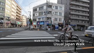 【Japan Walk】Nezu, Tokyo: Walk from Nezu sta. to Uguisudani sta.