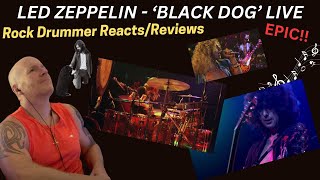 Led Zeppelin’s ‘BLACK DOG’ Live at MSG – A Reaction and Review - Unleashing the Energy!!