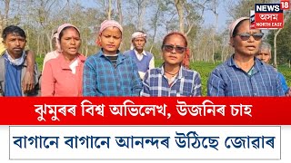 Sivasagar News | ঝুমুৰৰ বিশ্ব অভিলেখ, উজনিৰ চাহ বাগানে বাগানে আনন্দৰ উঠিছে জোৱাৰ N18V