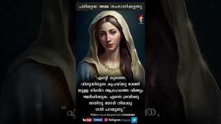 പരിശുദ്ധ അമ്മ സംസാരിക്കുന്നു - Status Video #shorts | Mary | Marian | Shorts | Christian Status