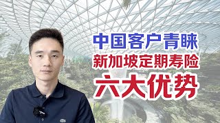 备受中国大陆客户青睐的新加坡定期寿险，6大优势【狮城理财】