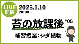 苔の放課後＃05 2025.1.10 補習授業：シダ植物