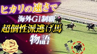 ヒカリの逃足【G1圧勝】エイシンヒカリの物語【競馬】【JRA】（ハイライト・全レース）エプソムC・毎日王冠・香港C・イスパーン賞・プリンスオブウェール