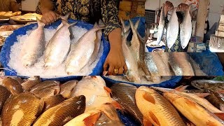 রাজধানীর সেরা মাছের বাজার বসুন্ধরা | Bashundhara is the best fish market in the capital