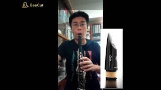 Piazzolla  Adiós Nonino Tango+Selmer Echo Clarinet Mouthpiece