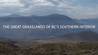 The Great Grasslands of BC's Southern Interior