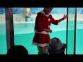 番外編 　アザラシ館のアザラシショー　下田海中水族館