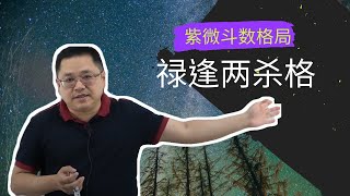 紫微格局-禄逢两杀格｜王嘉宇未来教室