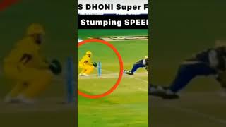 # MS Dhoni wicket out just in 0.2 second legend of Indian cricket team.🔥🔥