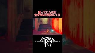 今日もゴリ押しで進む🐈⸒⸒⸒⸒ #ストレイ #stray #任天堂 #スイッチ #ゲーム実況 #猫 #gameplay #shots