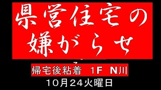 県営住宅の嫌がらせ　帰宅粘着１０月２４火　#shorts 　＃嫌がらせ＃老害＃音ハラ＃近所トラブル