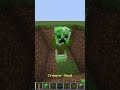 the best way to prank your friends in minecraft  #minecraft