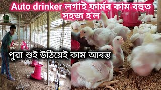 Broiler chicken farming in Assam Ii Auto drinker good or bad