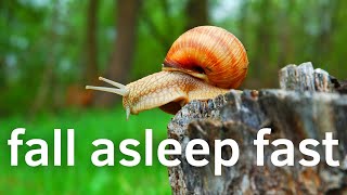 🐌 Beautiful Snails! - 3 HOURS Best Relaxing Music \u0026 Amazing Nature Scenery 🐌