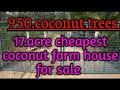 17 acres cheapest coconut farm house for sale near t narsipur 9980224635