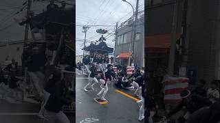 鳳だんじり祭り試験曳き 綱元転倒 長承寺 旧ドット前【令和6年9月22日】