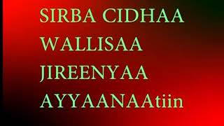 Wallisaa Jireenyaa Ayyaanaa Sirba (Ciidhaa)