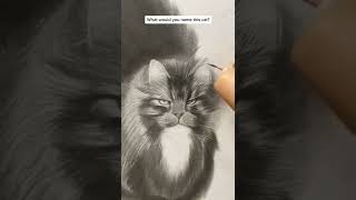 Realistic Cat Drawing - How to draw a cat by pencil #shorts #cat #art #draw #drawing #painting