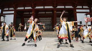 03 マルハン流祭りの会 バサラ祭り2019 東大寺会場