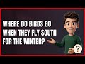 Where Do Birds Go when They Fly South for the Winter?