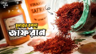 জাফরান মূল্যবান মশলা | Saffron | Why is So Expensive | Aynar Duniya